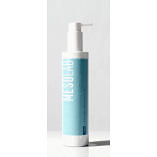 Mesolab ГИАЛУРОНОВЫЙ ГЕЛЬ ДЛЯ ОЧИЩЕНИЯ КОЖИ/ CLEANSING HYALURONIC GEL 250 м Mesolab ГИАЛУРОНОВЫЙ ГЕЛЬ ДЛЯ ОЧИЩЕНИЯ КОЖИ/ CLEANSING HYALURONIC GEL 250 м